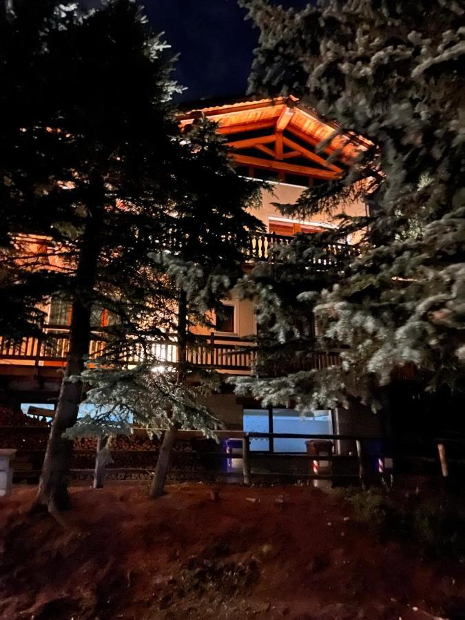 Chalet Allemand Саузе-д'Ульс Экстерьер фото
